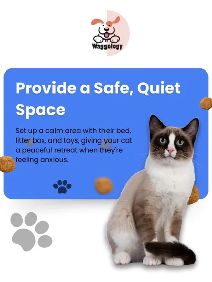 These additional tips focus on creating a secure and enriching environment for your pets, reinforcing the idea that kindness, patience, and understanding are the most effective tools for pet care.