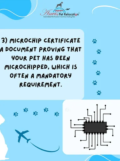 A microchip certificate is often a mandatory requirement. This document proves that your pet has been microchipped with an ISO-compliant chip, which is essential for identification and tracking.