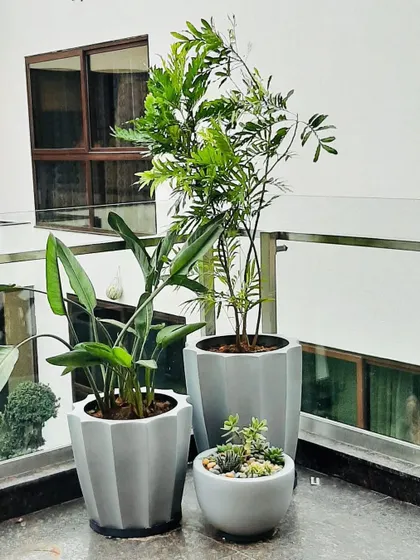 A beautiful cluster of pots on a balcony. I often group planters of different sizes but similar styles to create a cohesive and visually interesting plant arrangement.
