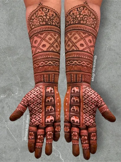 A classic full-coverage design featuring rows of elephants and intricate geometric jaal patterns. The symmetrical layout creates a balanced and traditionally beautiful bridal look.