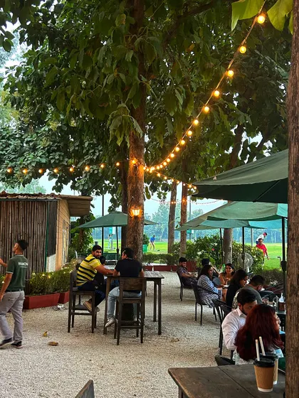 The combination of natural trees and warm string lights creates a unique and cozy atmosphere on our patio.