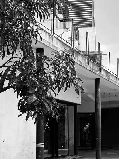 A progress shot of Ridge House, showing the relationship between the structure and the surrounding trees.