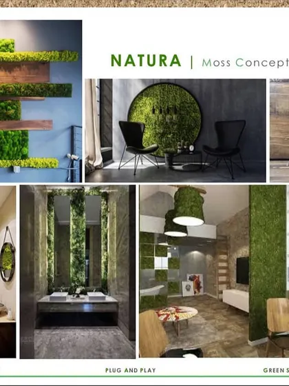 A glimpse into our moss wall concepts, showcasing the versatility of preserved moss. From geometric patterns and circular art pieces to full wall coverings and branded lettering, these solutions are plug-and-play and require zero maintenance.