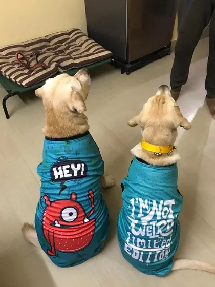 A back view of Bunty and his son in their matching shirts.
