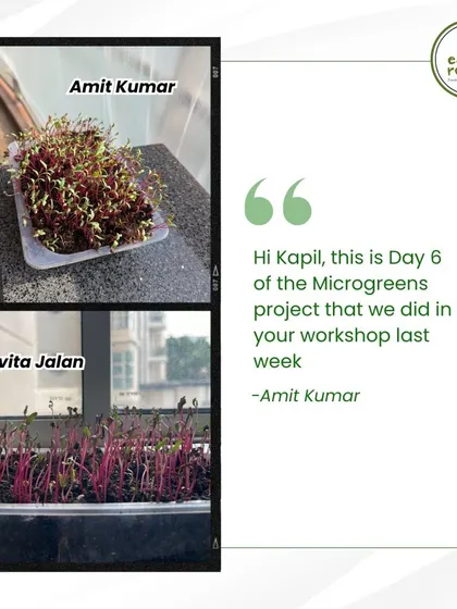 A testimonial from a workshop participant, showing their microgreens thriving on Day 6. It's always rewarding to see people successfully growing their own food after our sessions.