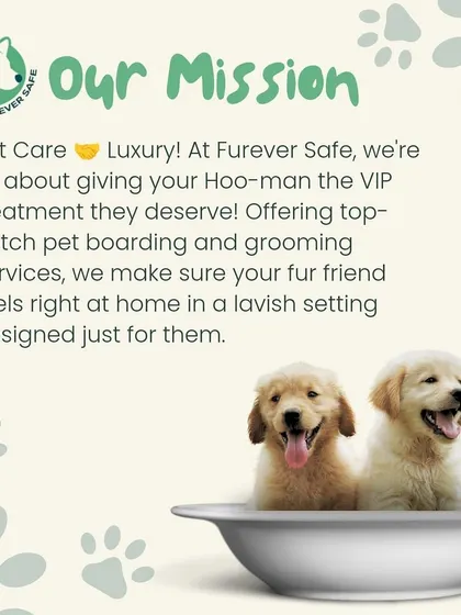 Our mission is simple: provide pet care that feels like luxury. We offer top-notch pet boarding and grooming to make your fur friend feel right at home.