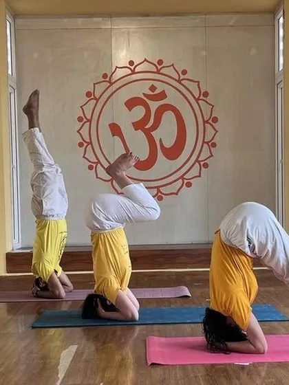 For students ready to deepen their practice, we offer guidance in advanced asanas like Sirsasana (Headstand). This image shows students at different stages of learning the pose, supported by our step-by-step method.