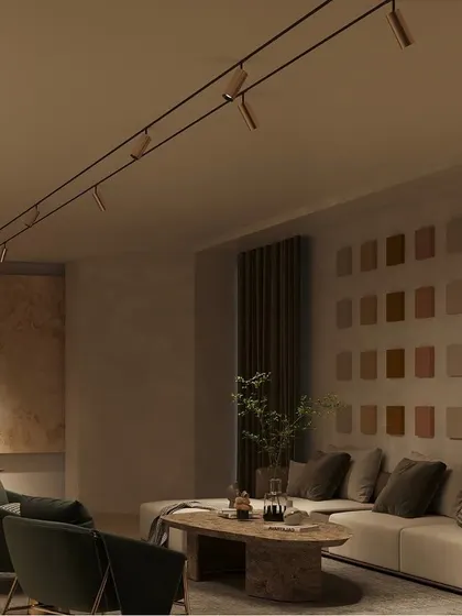 This is a duplicate of image 71, showing our tiltable track lights in a modern living room. The system's adaptability allows for perfect accent lighting, making the wall of art a vibrant and engaging feature of the space.