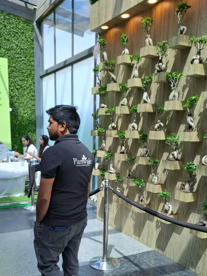 A member of our team proudly standing by the completed bonsai wall installation. Our professional team is the backbone of our service, ensuring every detail is perfect.