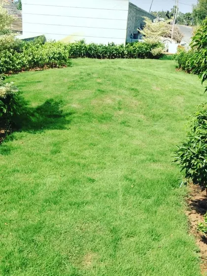 A beautiful, rolling lawn surrounded by lush hedges and trees. I can design and install a landscape that fits the natural contours of your land.