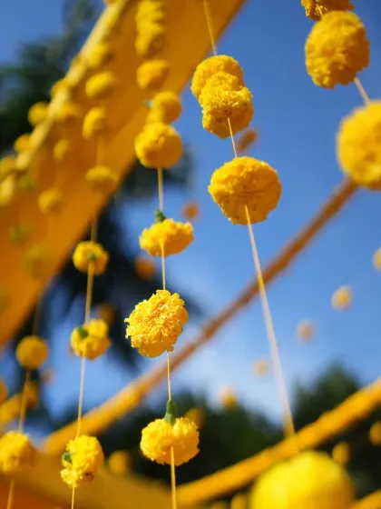 A close-up shot of hanging marigold strings against a bright blue sky, a classic element of Haldi decor.