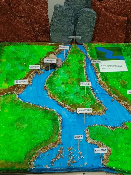 A diorama depicting the journey of a river, from its source to the delta. This hands-on project helps children visualize and understand key geographical features and landforms.