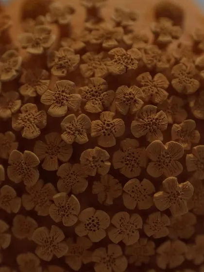 Here is the floral vase after its first firing, known as a bisque. The intricate details of the unglazed clay flowers are so beautiful on their own, it almost feels a shame to glaze it.