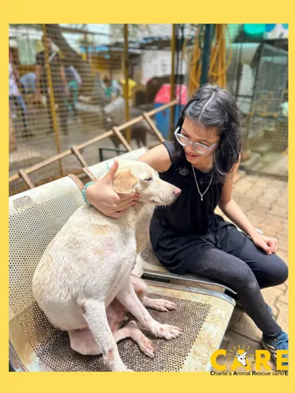 A visitor from Diya Foundation shares a quiet, comforting moment with one of our resident dogs. We look forward to many more such collaborative visits.