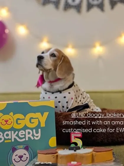 Eva the Beagle celebrated her 5th birthday with a custom cake designed to look just like her. We love creating these personalized cakes to make your dog's day extra special.