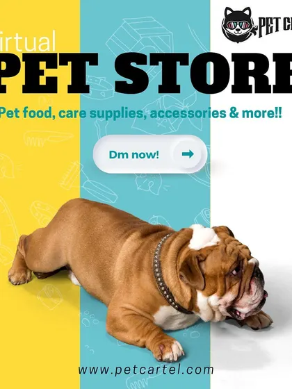 Welcome to our virtual pet store! Here you can find pet food, care supplies, accessories, and more. Just send us a message or order online for quick delivery.