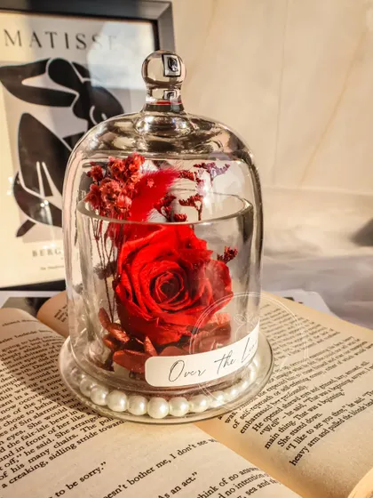 The classic red Eternal Rose, a perfect symbol of romantic love.