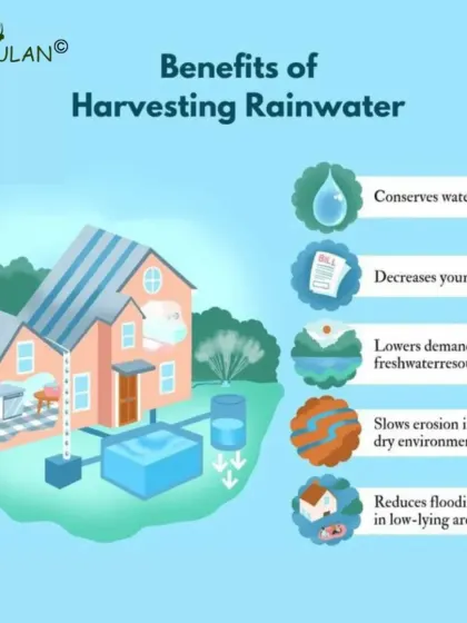 This infographic clearly illustrates the multiple benefits of rainwater harvesting. It's not just about conserving water; it also decreases your bills, reduces flooding, and lowers the strain on our freshwater resources.
