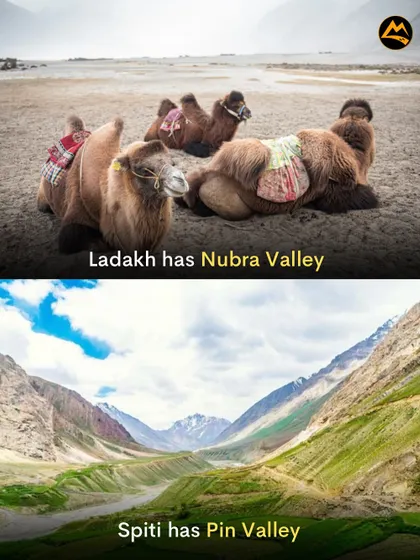 Comparing the unique valleys of the Himalayas. Ladakh has the famous Nubra Valley with its camels, while Spiti has the greener, more remote Pin Valley.