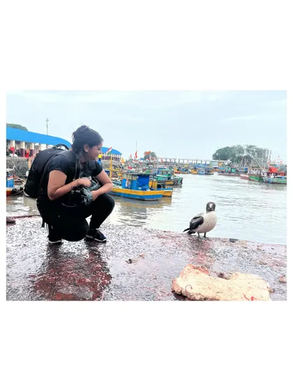 Another shot from my encounter with the Masked Booby. It was a patient wait, but the connection was worth it.