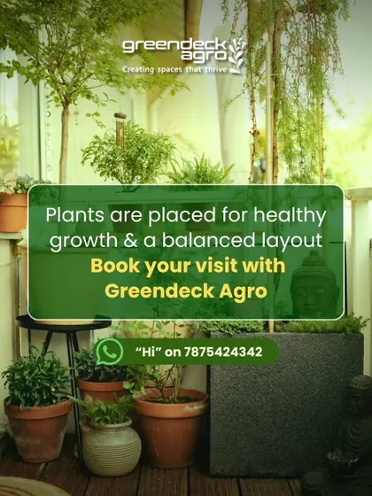A key part of our service is ensuring plants are placed for healthy growth and a balanced layout. This beautiful balcony is a testament to that thoughtful approach.