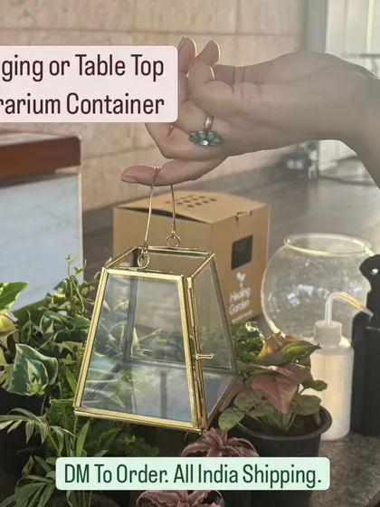 Our new collection of geometric terrarium containers is here. These premium, British inspired designs can be used for open or closed terrariums and can be shipped all over India.