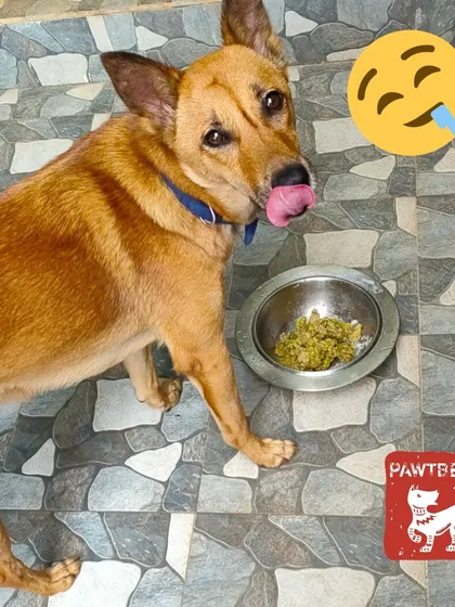 The look of a truly satisfied customer. That lip-licking moment after a delicious and nutritious meal is what we strive for with every bowl we prepare.