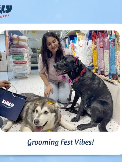 Two dogs enjoying the festive vibes at our Grooming Fest, a great opportunity for pets to socialize and get pampered.