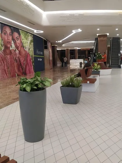 This is a view of the main shopping corridor at Lulu Hypermarket, showing how I use a series of coordinated planters to add consistent greenery. The simple grey planters add a touch of nature without distracting from the retail environment.