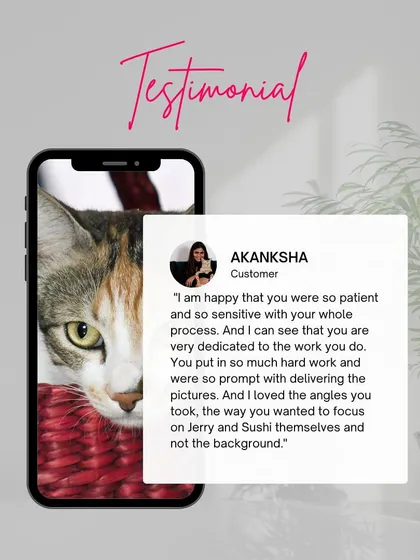 A testimonial from a cat owner, appreciating my patience, sensitivity, and dedication to capturing the pets themselves.