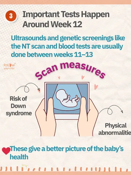 Important genetic screenings like the NT scan happen around week 12. Waiting for these results gives a clearer picture of the baby's health before sharing the news widely.