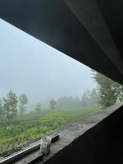A view from the 'Panorama' site in Ooty, where the building is designed to frame the breathtaking, misty views of the surrounding tea estates.