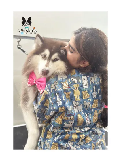 This is why I do what I do. A quiet moment and a hug with this beautiful Siberian Husky after her grooming session. Building trust and showing affection is just as important as the haircut itself.