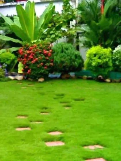 A classic garden look with a lush green lawn, stepping stones, and a border of vibrant flowering shrubs and manicured bushes.