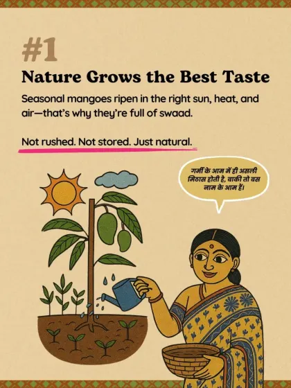 Nature grows the best taste. Seasonal mangoes ripen in the right sun, heat, and air, which is why they are full of swaad. Not rushed, not stored, just natural.