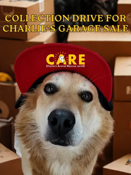 Our furry supervisor is ready for the collection drive! This poster for Charlie's Garage Sale encourages the community to declutter for a cause. Your unused items can make a huge difference for our animals.