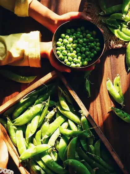 Another perspective of the pea-shelling scene, with both my hands and my child's hands in the frame. This image beautifully captures a moment of connection and shared activity.
