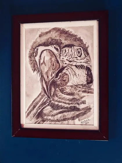A detailed sketch of a parrot's head, using fine lines to capture its texture and expression.
