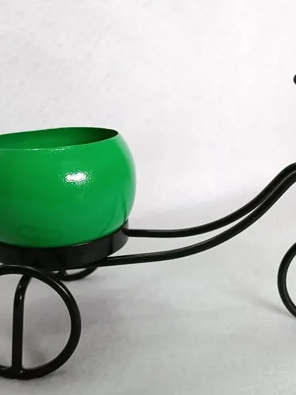 The same decorative tricycle planter, this time with a vibrant green pot.