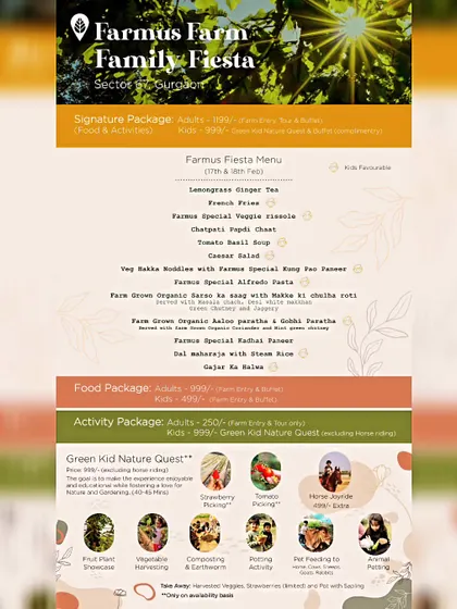 The full menu and package details for our Family Fiesta, showing the variety of food and activities available.
