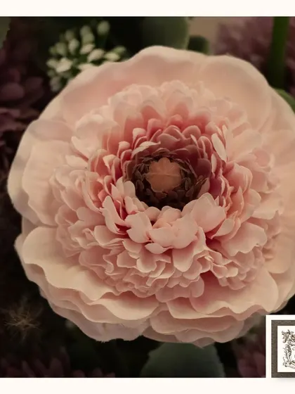 The delicate, layered petals of this pink ranunculus look incredibly lifelike. I choose flowers like these to ensure my arrangements have a natural and sophisticated appearance.