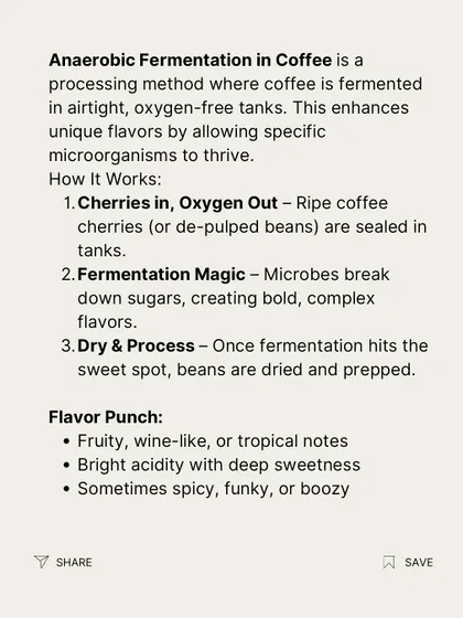 An infographic explaining how anaerobic fermentation works. We break down the process and the fruity, wine-like flavors it can produce.
