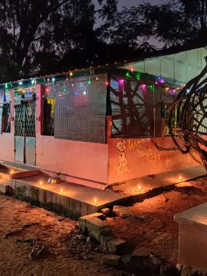 Another view of our facility decorated for the holidays, with colorful lights and a cozy, inviting atmosphere.