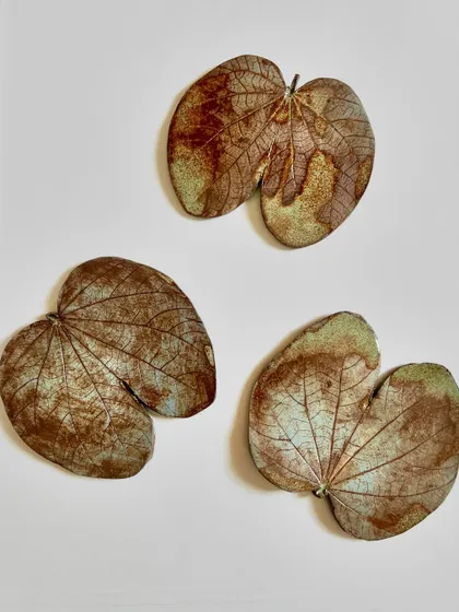 A trio of heart-shaped ceramic leaves, ready to be hung as a beautiful, nature-inspired wall display.