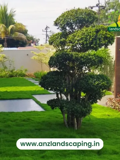 Our expertise in classic garden design is showcased in this perfectly manicured lawn featuring a sculpted topiary tree as a centerpiece. We focus on creating healthy, sustainable lawns with strong visual appeal.
