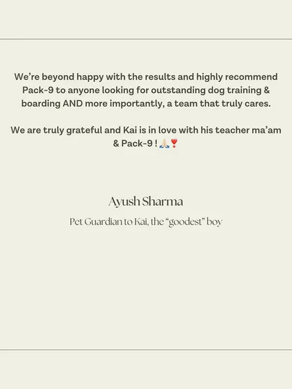 The conclusion of Kai's testimonial, recommending our services to anyone looking for a team that truly cares.