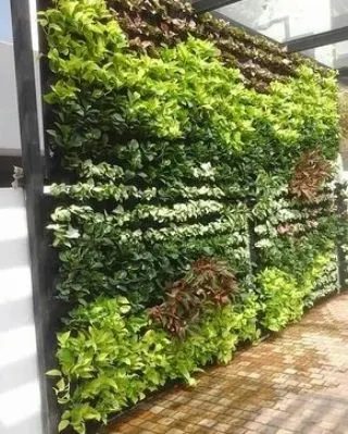 A lush vertical garden installed along a walkway or patio area. This type of installation is perfect for covering plain walls and adding greenery without taking up floor space.