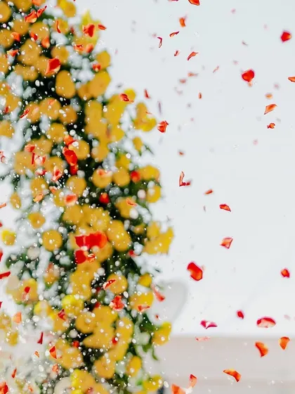An artistic capture of flower petals mid-air during a celebration.