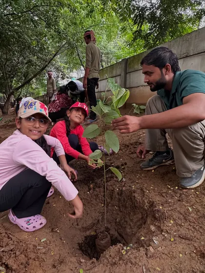 Young volunteers from Calpro Specialities learn how to plant native saplings like Nirgundi and Barna, which are adapted to thrive on seasonal rain, not daily watering.