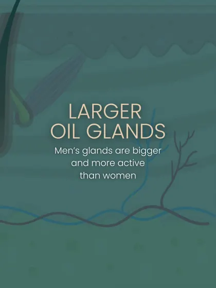 Men's oil glands are not only more active, but they are also larger than women's. This anatomical difference contributes to higher sebum production and a greater likelihood of developing acne.